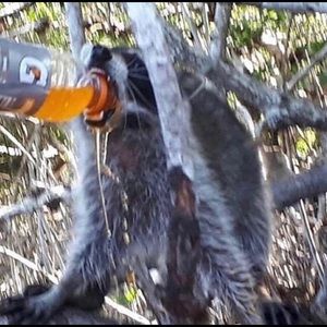 Meet your Posher, Evan